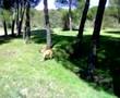 Keily-jugando