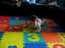LM on his new crawling carpet
