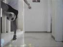 Senad Round 5 Final Vid Soccerstylez.de Competition Senad Round 5 Final Vid Soccerstylez.de Competition