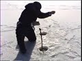 Ice Fishing - Chain Pickerel on Tip-ups Ice Fishing - Chain Pickerel on Tip-ups