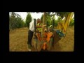 Sap Trees Introduction Video