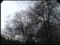 Ein Tag in der Heide
