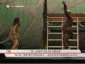 \"El libro de la selva\" se sube al teatro \"El libro de la selva\" se sube al teatro
