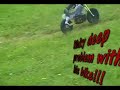 ARX 540 Bike