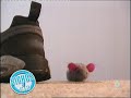Gatos 7
