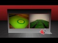 CMSI Final June5 Youtube