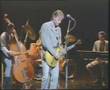Snowy White - Bird Of Paradise