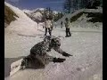 Alah Akba - Taliban sur les pistes de ski Alah Akba - Taliban sur les pistes de ski