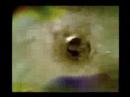 Video 1 Video 1
