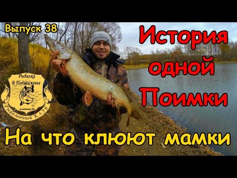 истории на рыбалке истории на рыбалке