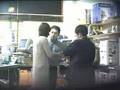 Movida en el servicio tecnico