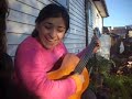 Corazon de Escarcha