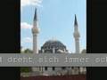 Höchst kriminelle Ausländer