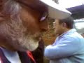 Bigolo e i prezzi sopraelevati (con attacco di Gamb) Bigolo e i prezzi sopraelevati (con attacco di Gamb)