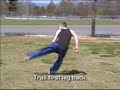 butterfly twist