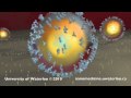 Xem Video