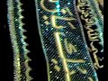Noor light seen glittering in the tomb of Bibi Zainab s.a.