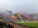133.derbi partizan - zvezda koreografija