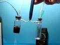 Destillation von Rotwein Distillation of red wine