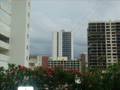 Short glimpses of FLORIDA