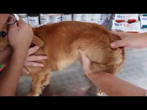 how to treat 7 month old with diarrhea