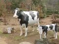 新津『石油の里公園』vol1.〜中野邸もみじ園〜