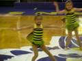 Bee Boppin' Dance