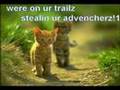 Dan Balan - Crazy Loop - LOLCATS