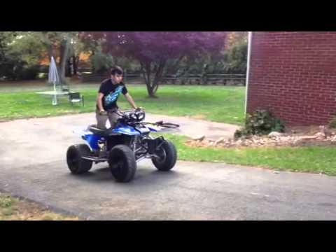 350 warrior 350 warrior