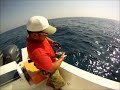 Click here to watch this video Les îles Andaman, février 2012: traque des GT au popper.