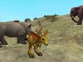 ANIMALS AND THEIR BIOMES