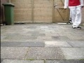 Cwalk Tutorial Advanced BigBoyK