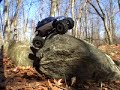 RC rock crawling