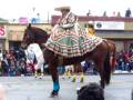 videos de Marchi Loco..en  Thanksgiving 2008