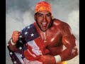 WHY SHOULD WE HATE HULK HOGAN