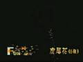 videos de 170虎尾花