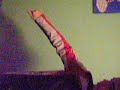 mi magia mi magia