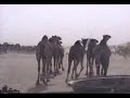 Still the way to Travel: Kicking & Spitting