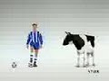 Funny cow