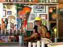 videos de Green Parrot Bar