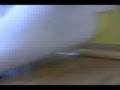 videos de Ghosts