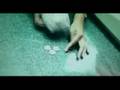  - MovieZen Video