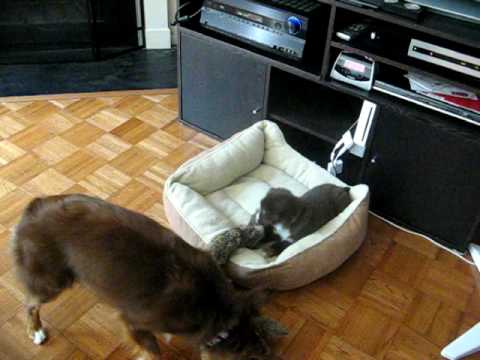 mcdonalds monopoly uk mcdonalds monopoly uk