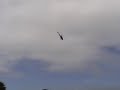 Copter X 500 test flight Copter X 500 test flight