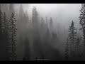 Eisenwinter Wenn der Herr der Mondklinge durch den Nebelwald reitet