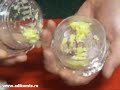 Мельница для чеснока.avi