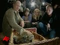 Raw Video: Putin Gets Tiger As Birthday Gift