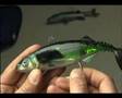 Williamson \ Rapala LIVE TUNNY (Marlin Lure)