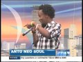 ANTO - Chips Funga