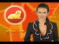 Aries Horoscope November 3, 2008 Aries Horoscope November 3, 2008